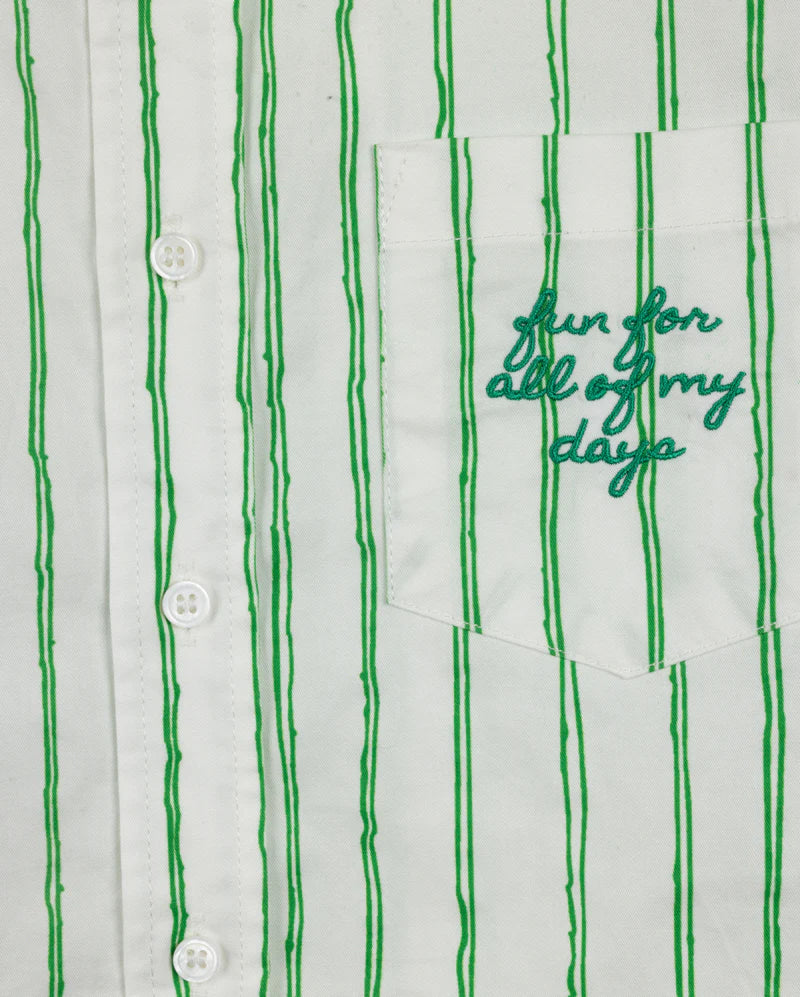 VIBE GREEN PINSTRIPED EMBROIDERED BLOUSE [FINAL SALE] - Image 2