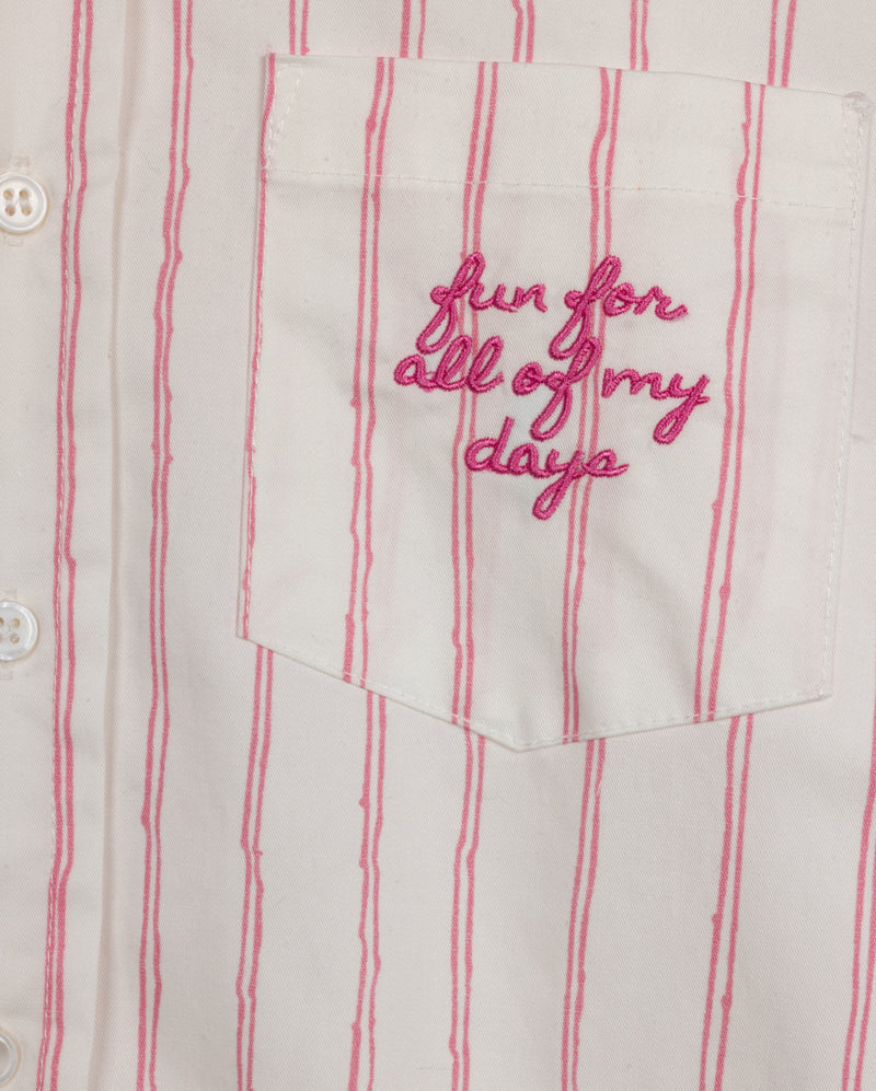 VIBE PINK PINSTRIPED EMBROIDERED BLOUSE [FINAL SALE] - Image 2
